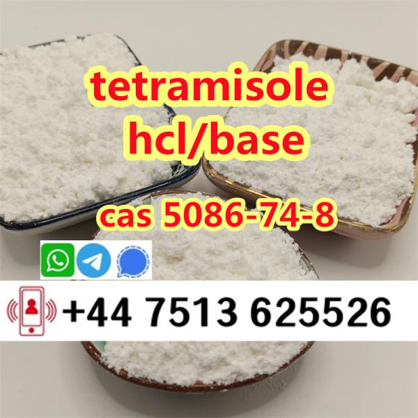 cas 5086748 tetramisole hcl base strong effect export to Europe